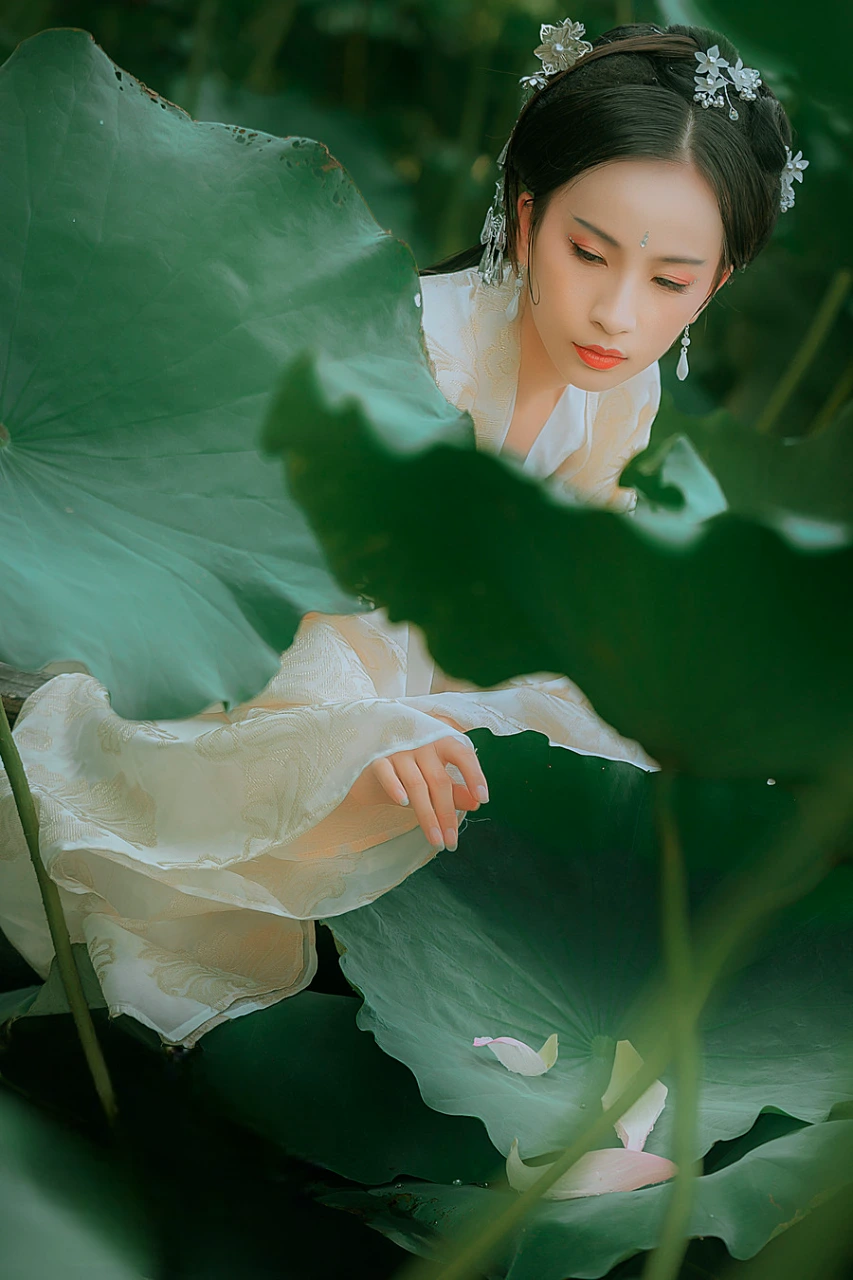 采莲.webp