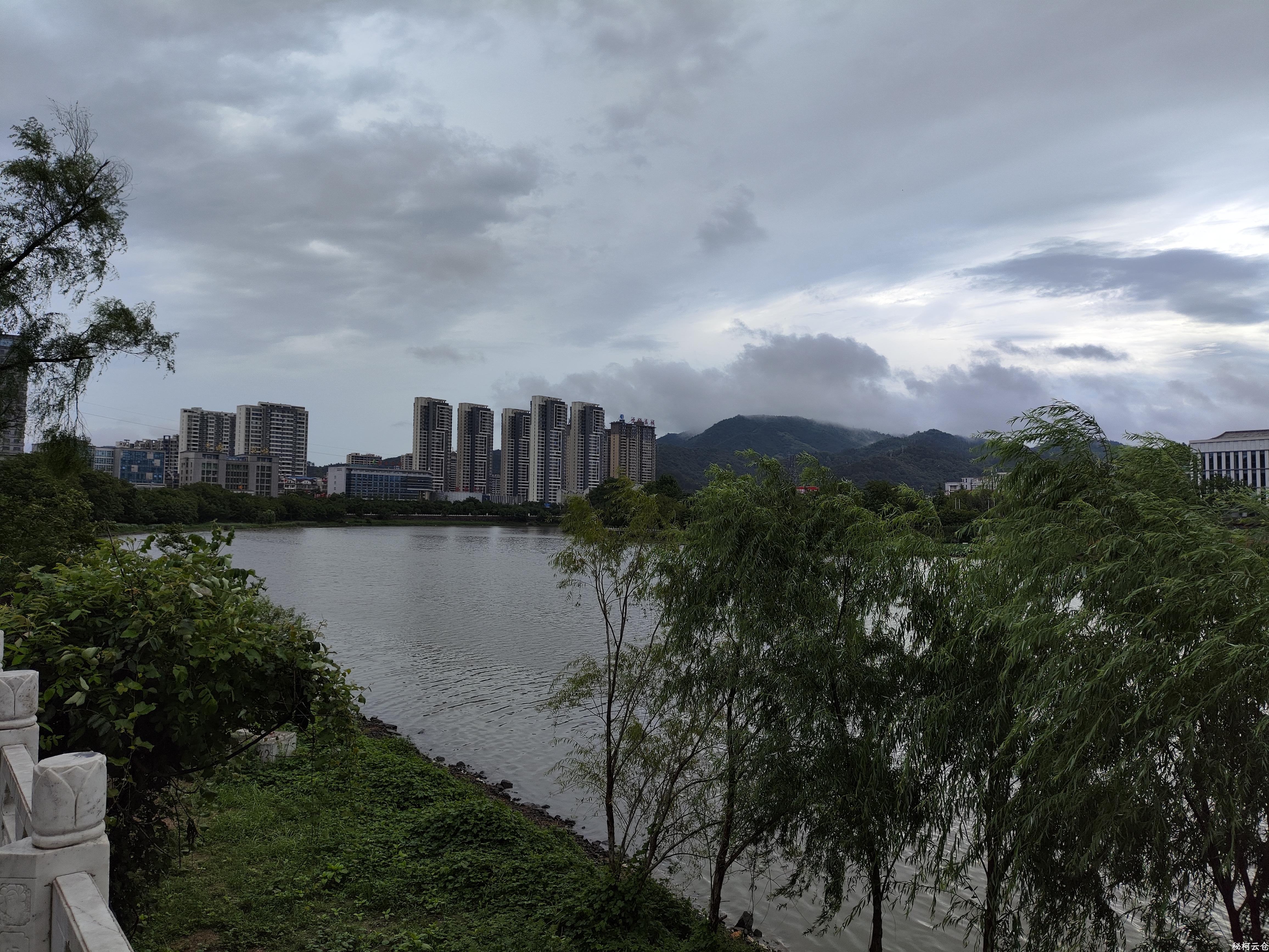 IMG_20250629_081624.jpg