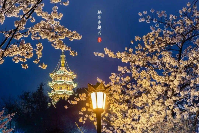 帘外寒雨湿故梦