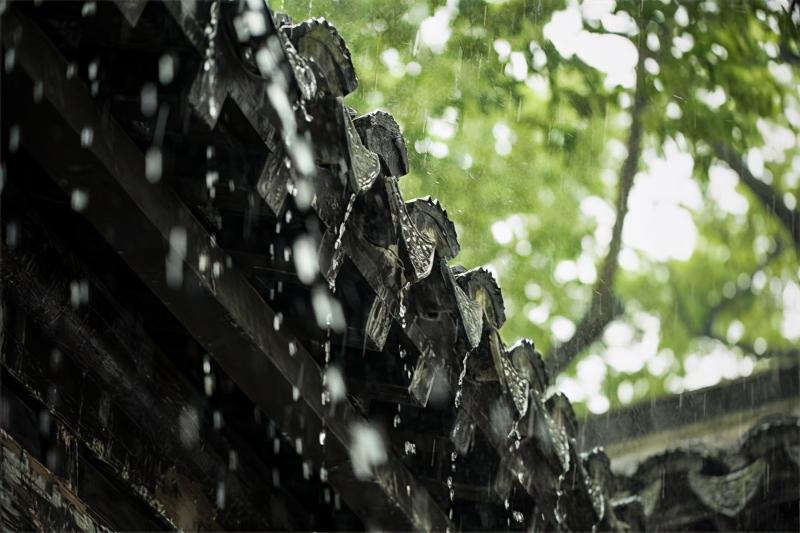 谁念西风独自凉