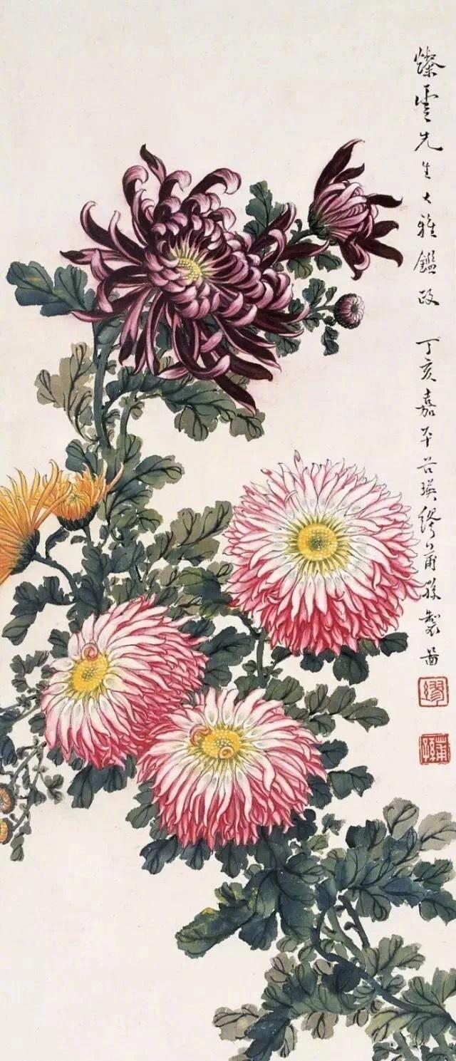 秋霜尽处有孤芳